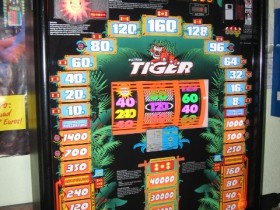 ADP Tiger TR.4.1 Baujahr 7/2011